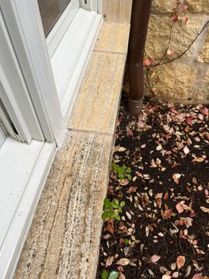HOUSE WASHING, FROM MOLD TO CLEAN - Mold is not easy to remove, let our team take care of your home! We will make your home look like a new home.