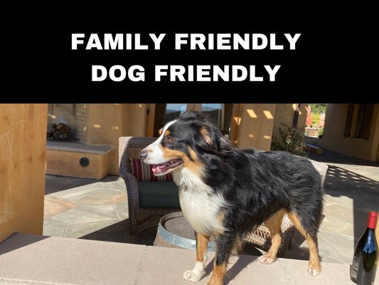 Family & Dog Friendly - We take pride in being an organic estate, independently owned, and family and dog-friendly winery. At our vineyard, we cherish the values of sustainability and authenticity, crafting wines that reflect our commitment to quality and the environment. Bring your loved ones, including your furry friends, and experience the warmth of our welcoming atmosphere. Join us in celebrating life's simple joys amidst the beauty of our vineyard. Family & Dog Friendly - We take pride in being an organic estate, independently owned, and family and dog-friendly winery. At our vineyard, we cherish the values of sustainability and authenticity, crafting wines that reflect our commitment to quality and the environment. Bring your loved ones, including your furry friends, and experience the warmth of our welcoming atmosphere. Join us in celebrating life's simple joys amidst the beauty of our vineyard.