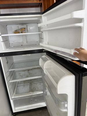 Refrigerator Deep Cleaning / 冰箱深度清潔 - Fridge deep cleaning project – We transformed a heavily stained fridge into a spotless, odor-free appliance. All shelves, drawers, and seals were thoroughly cleaned and sanitized, leaving it fresh and ready for use. Refrigerator Deep Cleaning / 冰箱深度清潔 - Fridge deep cleaning project – We transformed a heavily stained fridge into a spotless, odor-free appliance. All shelves, drawers, and seals were thoroughly cleaned and sanitized, leaving it fresh and ready for use.
