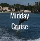 Midday Cruise - Experience Our Amazing Midday Cruises
Relax onboard and enjoy the scenery or photograph dolphins jumping through our boat's wake. Customize your trip or enjoy an incredible midday cruise and explore some of the area's most beautiful natural habitats. Our standard package is 4 hours but you may add additional time to your cruise when available. Contact Private Custom Charters today.
Beautiful Midday Cruise Locations
Bay and inland waters
Barrier islands
See The areas High End waterfront properties
Tour homes of local celebrities
View Cà d'Zan from the water (The winter vacation home of John Ringling)
A Variety of Refreshment and Meal Options Available
When boarding we can choose from a large selection of waterfront restaurants. Many of which will take a reservation and seat us immediately upon arrival. You may also bring your own food or have food catered to the boat.
See our menu options for catering services. Midday Cruise - Experience Our Amazing Midday Cruises
Relax onboard and enjoy the scenery or photograph dolphins jumping through our boat's wake. Customize your trip or enjoy an incredible midday cruise and explore some of the area's most beautiful natural habitats. Our standard package is 4 hours but you may add additional time to your cruise when available. Contact Private Custom Charters today.
Beautiful Midday Cruise Locations
Bay and inland waters
Barrier islands
See The areas High End waterfront properties
Tour homes of local celebrities
View Cà d'Zan from the water (The winter vacation home of John Ringling)
A Variety of Refreshment and Meal Options Available
When boarding we can choose from a large selection of waterfront restaurants. Many of which will take a reservation and seat us immediately upon arrival. You may also bring your own food or have food catered to the boat.
See our menu options for catering services.