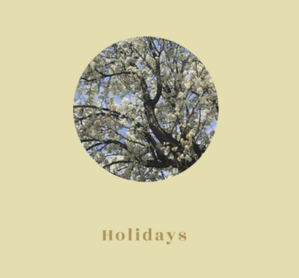 Holidays - Make your holiday celebration unforgettable with our stunning florals. From elegant and sophisticated to fun and playful, we have something for every occasion. Holidays - Make your holiday celebration unforgettable with our stunning florals. From elegant and sophisticated to fun and playful, we have something for every occasion.