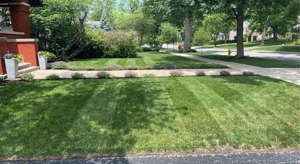 Lawn Servicing - Services that our Lawn Team has provided throughout 2023 Lawn Servicing - Services that our Lawn Team has provided throughout 2023