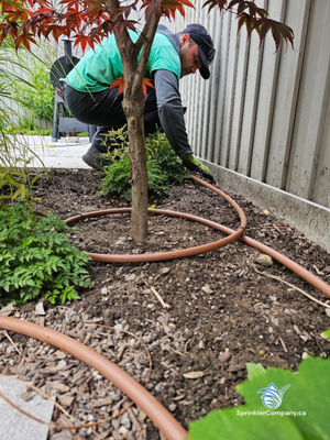 Drip Line Installation - Drip line installation delivers water directly to plant roots, reducing waste and promoting healthier growth. Ideal for flower beds, gardens, and shrubs, this efficient irrigation method conserves up to 50% more water than traditional systems. We install high-quality drip lines tailored to your landscape’s needs across Toronto and the GTA. Drip Line Installation - Drip line installation delivers water directly to plant roots, reducing waste and promoting healthier growth. Ideal for flower beds, gardens, and shrubs, this efficient irrigation method conserves up to 50% more water than traditional systems. We install high-quality drip lines tailored to your landscape’s needs across Toronto and the GTA.