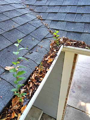 Residential and Commercial Gutter Cleaning Services - Gutter Cleaning Services in Fort Collins:
We make easy work of the toughest jobs
While the other guys will come to your home with the bare necessities, Men In Kilts Fort Collins takes things to another level. We've got technology on our side, which means your gutters will be thoroughly cleaned and unclogged thanks to state-of-the-art gutter vacuums that powerfully remove debris in minutes and clean the spaces hands can't find. Our high reach means our Fort Collins gutter cleaning team can handle the tough jobs others can't - that's why they call us in to finish the work.
Cleaning your gutters is important because this will help you avoid future leaks, cracks in your foundation and prevent critters from creating homes in collected debris. Clean, free-flowing gutters can also boost the curb appeal of your home. To make sure we've left your gutters in the best possible shape, we use high-definition gutter cameras to inspect every nook and cranny. That's how we clean the spaces those other guys leave behind.
Commercial Gutter Cleaning:
Your business’s exterior is in the best hands
The team at Men In Kilts is ready to deliver the reliable and thorough commercial gutter cleaning services you need. We do more than the bare minimum during our gutter services - we go above and beyond and use the best technology to clear and unclog your gutters of leaves, dirt, dust, and other debris that collects over time. We can even remove nests from rodents to keep your gutters flowing season after season.
Regardless of the type of commercial property you own or manage, you can rest assured that we can reach every corner of your building and always adhere to strict safety standards. Our Colorado Springs commercial gutter cleaning team will be sure to take into consideration your business hours and will try to avoid being disruptive to any customers or clients.
Give us a call or message us today for a Free Estimate! Residential and Commercial Gutter Cleaning Services - Gutter Cleaning Services in Fort Collins:
We make easy work of the toughest jobs
While the other guys will come to your home with the bare necessities, Men In Kilts Fort Collins takes things to another level. We've got technology on our side, which means your gutters will be thoroughly cleaned and unclogged thanks to state-of-the-art gutter vacuums that powerfully remove debris in minutes and clean the spaces hands can't find. Our high reach means our Fort Collins gutter cleaning team can handle the tough jobs others can't - that's why they call us in to finish the work.
Cleaning your gutters is important because this will help you avoid future leaks, cracks in your foundation and prevent critters from creating homes in collected debris. Clean, free-flowing gutters can also boost the curb appeal of your home. To make sure we've left your gutters in the best possible shape, we use high-definition gutter cameras to inspect every nook and cranny. That's how we clean the spaces those other guys leave behind.
Commercial Gutter Cleaning:
Your business’s exterior is in the best hands
The team at Men In Kilts is ready to deliver the reliable and thorough commercial gutter cleaning services you need. We do more than the bare minimum during our gutter services - we go above and beyond and use the best technology to clear and unclog your gutters of leaves, dirt, dust, and other debris that collects over time. We can even remove nests from rodents to keep your gutters flowing season after season.
Regardless of the type of commercial property you own or manage, you can rest assured that we can reach every corner of your building and always adhere to strict safety standards. Our Colorado Springs commercial gutter cleaning team will be sure to take into consideration your business hours and will try to avoid being disruptive to any customers or clients.
Give us a call or message us today for a Free Estimate!