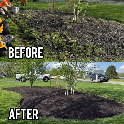 Landscaping Before and After - Recent Landscaping jobs