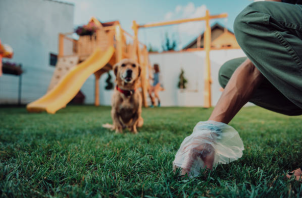 Reoccuring Pet Waste Removal Services - We are the pet waste removal service of your dreams! Our goal is to keep your yard clean and your pets healthy so that you can spend more time doing what you love.

Sign Up Within Minutes
100% Satisfaction Guarantee
No Long Term Commitment
Fully Insured and Licensed
Cleanup Notifications
Sanitized Tools & Shoes
Client Portal
Easy Cancellation