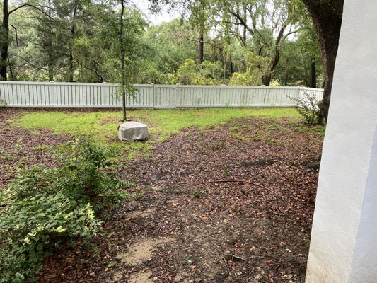 Seaside Plantation Sod Install - This sod install was done with St. Augustine sod. It is both sun and shade tolerant and great choice. The photos show a before and after. Soil was added and the entire properly graded Seaside Plantation Sod Install - This sod install was done with St. Augustine sod. It is both sun and shade tolerant and great choice. The photos show a before and after. Soil was added and the entire properly graded