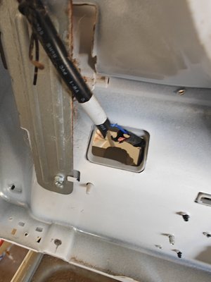 Rodent vs LG washer - Rodent chewed through the wires Rodent vs LG washer - Rodent chewed through the wires