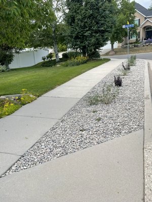 “Flip your strip” 2023 - Customer wanted a clean looking park strip that was water efficient and low maintenance. “Flip your strip” 2023 - Customer wanted a clean looking park strip that was water efficient and low maintenance.