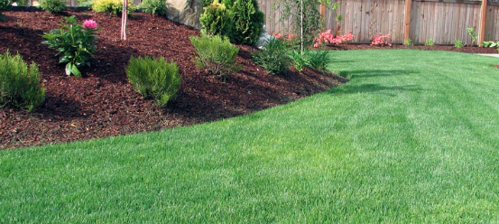 Landscaping Services - Landscaping goes beyond simple gardening, encompassing the design and installation of an entire area, including both living and non-living elements. The types of services and projects can vary widely based on your needs, budget, and local climate.
Landscaping goes beyond simple gardening, encompassing the design and installation of an entire area, including both living and non-living elements. The types of services and projects can vary widely based on your needs, budget, and local climate. Landscaping Services - Landscaping goes beyond simple gardening, encompassing the design and installation of an entire area, including both living and non-living elements. The types of services and projects can vary widely based on your needs, budget, and local climate.
Landscaping goes beyond simple gardening, encompassing the design and installation of an entire area, including both living and non-living elements. The types of services and projects can vary widely based on your needs, budget, and local climate.