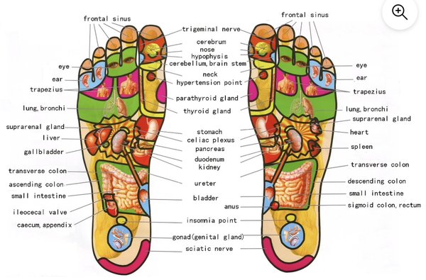 Big promotion in July and August 2024 - specific points on the feet mirror the organs and bodily systems and that stimulating them promotes good health and helps keep the body balanced Big promotion in July and August 2024 - specific points on the feet mirror the organs and bodily systems and that stimulating them promotes good health and helps keep the body balanced