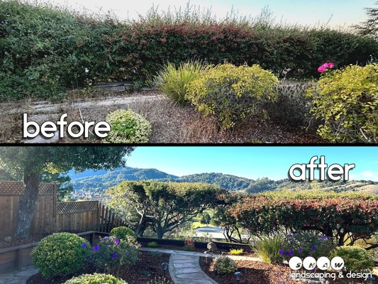 Beautifully restored landscaping over looking the San Rafael hills. - Beautiful front and back yard restoration project on a extremely weed ladened and neglected property. Beautifully restored landscaping over looking the San Rafael hills. - Beautiful front and back yard restoration project on a extremely weed ladened and neglected property.