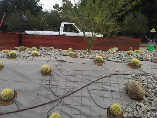 lawn alternative - low water alternative, maintenance free and worry free lawn alternative - low water alternative, maintenance free and worry free