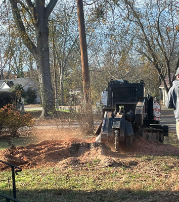 Expert tree removal services—safeguarding your property while enhancing your landscape! - Expert tree removal services—safeguarding your property while enhancing your landscape!