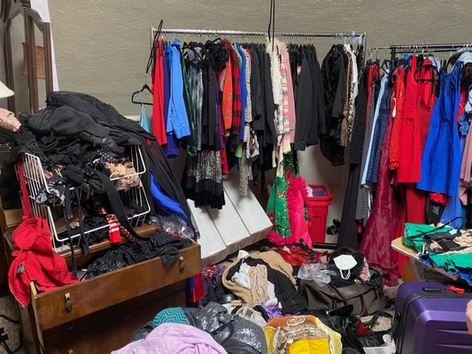 B' closet - B. needed to see her carpet again and organize her clothes. She is a local performer and needs to separate her professional outfits from her day-to-day clothes.