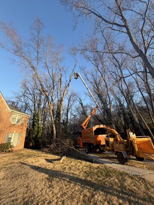 Emergency Tree Removal - This Tree Removal was removed due to decay at the trunk and the potential risk of it falling on the house! Give us a call if you have concerns on your trees we do Emergency tree removal as well Emergency Tree Removal - This Tree Removal was removed due to decay at the trunk and the potential risk of it falling on the house! Give us a call if you have concerns on your trees we do Emergency tree removal as well