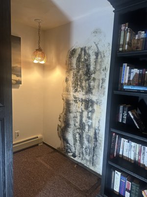 Mold Remediation - Mold growth was found behind a bookshelf affecting an adjoining wall between the bathroom and living room. This was caused by a rusted cast iron pipe.