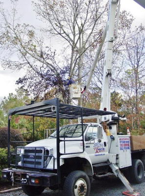 Safe, Clean Tree Cutting - Expert trimming and precise cuts to keep your trees healthy, your yard safe, and your property looking the best! Call (910) 231-3543 today to schedule your consult! Safe, Clean Tree Cutting - Expert trimming and precise cuts to keep your trees healthy, your yard safe, and your property looking the best! Call (910) 231-3543 today to schedule your consult!