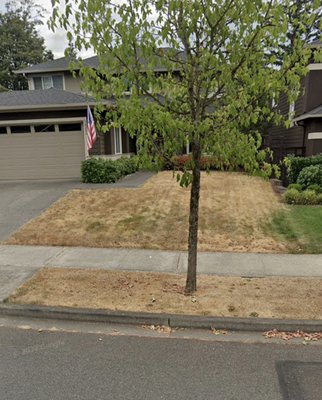 Lawn replacement - The lawn was mostly dead with lots of dips and uneven surface Lawn replacement - The lawn was mostly dead with lots of dips and uneven surface