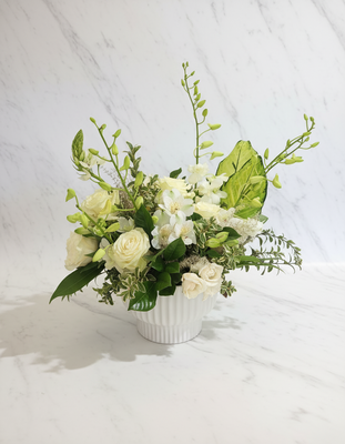stylized arrangement - Don't settle for a bunch of filler flowers! We specilize in high end blooms designed by experienced designers. We understand when you send flowers, you want them to last and be a reflection of your message stylized arrangement - Don't settle for a bunch of filler flowers! We specilize in high end blooms designed by experienced designers. We understand when you send flowers, you want them to last and be a reflection of your message