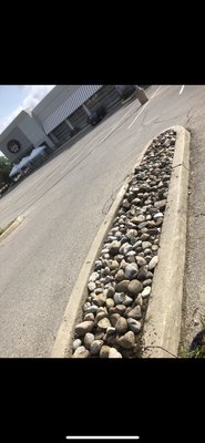 WEEDING PROJECT - This small island in a parking lot was overrun with weeds hiding beneath decorative rock. Our team carefully removed all unwanted growth, restoring a clean and polished look without disturbing the existing landscape.

✅ Thorough Weeding Between Rocks
✅ Improved Curb Appeal
✅ Ideal for Commercial & Residential Properties
✅ No Mess Left Behind – Just Clean Lines & Neat Finishes

Whether it's a full landscape refresh or a simple weed clean-up, we bring the same attention to detail every time.