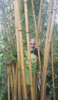 26 years in business - Cascade Gardens started doing Landscape Maintenance in Seattle in 1997 with an emphasis on organic gardening methods and proper pruning techniques. We are a licensed, bonded and insured landscape specialty contractor (CASCAG*940CL) providing organic gardening service, landscape installations bamboo barrier installation, bamboo extractions and removals, etc.