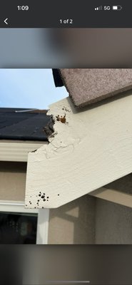 Exterior Home Repairs - Revamp Your Home"s Exterior with Our Expert Repair Services!
Is your homes exterior showing signs of of wear and tear? Don't let peeling paint, rotting, or damaged siding diminish the beauty and value of your property! Contact us today. Exterior Home Repairs - Revamp Your Home"s Exterior with Our Expert Repair Services!
Is your homes exterior showing signs of of wear and tear? Don't let peeling paint, rotting, or damaged siding diminish the beauty and value of your property! Contact us today.