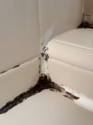 Sealing & Caulking - How I turn something awful and dirty into clean, fresh, like-new results.
🛠 Sealing & Caulking
I can help with sealing and caulking around tubs, sinks, windows, and more. Clean, reliable work to keep your home protected and looking neat. Sealing & Caulking - How I turn something awful and dirty into clean, fresh, like-new results.
🛠 Sealing & Caulking
I can help with sealing and caulking around tubs, sinks, windows, and more. Clean, reliable work to keep your home protected and looking neat.