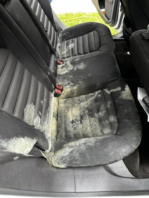 Let us remove those stains!
Any questions? Call or text 248.987.8488 - The before and after Let us remove those stains!
Any questions? Call or text 248.987.8488 - The before and after