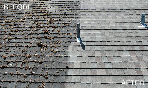 Roof Cleaning - AZ Clean Power, LLC is your #1 choice for phenomenally clean solar panels.Phenomenal protection and power production, guaranteed. We clean Commercial and Residential solar electric systems. AZ Clean Power is Fully Licensed and insured, and committed to providing you with phenomenal service. We only use deionized reverse osmosis filtered water and specialized solar cleaning equipment to ensure your solar panels are spotless, protected and ready to crank out those Kilowatts! Please Call us Today to book your appointment 480-885-2525. Roof Cleaning - AZ Clean Power, LLC is your #1 choice for phenomenally clean solar panels.Phenomenal protection and power production, guaranteed. We clean Commercial and Residential solar electric systems. AZ Clean Power is Fully Licensed and insured, and committed to providing you with phenomenal service. We only use deionized reverse osmosis filtered water and specialized solar cleaning equipment to ensure your solar panels are spotless, protected and ready to crank out those Kilowatts! Please Call us Today to book your appointment 480-885-2525.