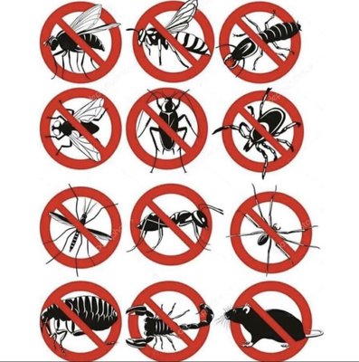 Ant elimination - 1 treatment 1 year guarantee Ant elimination - 1 treatment 1 year guarantee