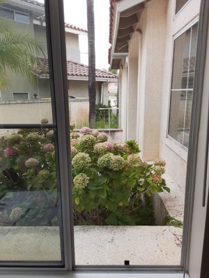 Window Re-Screen - Window Rescreen service with standard window screen mesh.
Mobile service starts at $125
Call or visit our website to book an appointment Window Re-Screen - Window Rescreen service with standard window screen mesh.
Mobile service starts at $125
Call or visit our website to book an appointment