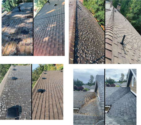 Low pressure moss removal - This was a few older roofs we did that required a very gentle cleaning. Here is the process we do for our gentle cleaning:
- We use a system called SoftWash, which is a liquid solution-treatment that kills all growth on the roof and gives it 3 years of moss protection.
- All the growth dies within 30 minutes. We then use low pressure water to remove the moss shingle by shingle.
- No coarse brushes or high pressure that damage shingles will be used. We also don't use moss out powder treatment, which only gives the roof 6-8 months of moss protection.
- Its one of the most safe, effective, and most beneficial ways to clean your roof.
- Recommended cleaning method by Roof Cleaning Institute of America and The Asphalt Roofing Manufacturers Association Low pressure moss removal - This was a few older roofs we did that required a very gentle cleaning. Here is the process we do for our gentle cleaning:
- We use a system called SoftWash, which is a liquid solution-treatment that kills all growth on the roof and gives it 3 years of moss protection.
- All the growth dies within 30 minutes. We then use low pressure water to remove the moss shingle by shingle.
- No coarse brushes or high pressure that damage shingles will be used. We also don't use moss out powder treatment, which only gives the roof 6-8 months of moss protection.
- Its one of the most safe, effective, and most beneficial ways to clean your roof.
- Recommended cleaning method by Roof Cleaning Institute of America and The Asphalt Roofing Manufacturers Association