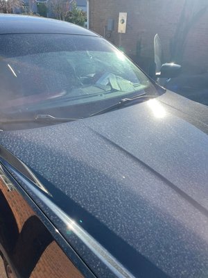 interior detail with a wash and wax - this was a interior detail and wash and wax project on this beautiful Maserati it came out perfect