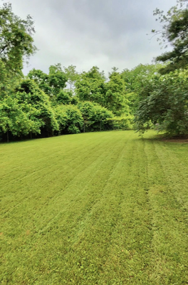 Affordable Lawn Care Services - At Top Shotz Landscaping we offer affordable lawn care services. Call us today for an estimate. Affordable Lawn Care Services - At Top Shotz Landscaping we offer affordable lawn care services. Call us today for an estimate.
