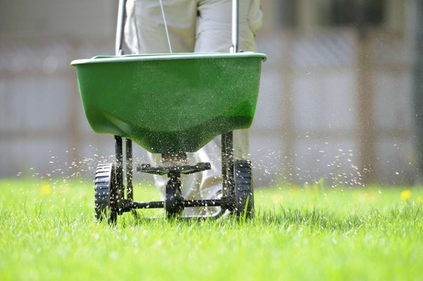 Lawn Fertilization - We offer continuous lawn fertilization throughout peak season to keep your lawn green, fresh and healthy. Lawn Fertilization - We offer continuous lawn fertilization throughout peak season to keep your lawn green, fresh and healthy.