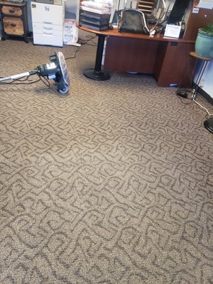 Before & After - Call James Carpet Cleaning. Your home will feel renewed by the cleanliness of your carpet, and the fantastic service that accompanies the James Carpet Cleaning name. Fast drying, Eco-friendly, NO mess! Free estimate will secure the job, because of pricing, we are concerned about the economy. We consider your home is a investment and a safe haven, lets make it lovable and safe free of the experience of the outside.