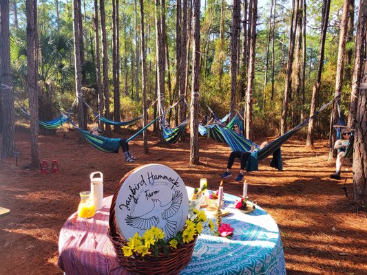 Private Events at the Farm - Reserve a private Goat Yoga, Standup Paddleboard Yoga, and/or Meditation & Sound Bath for your party. Plan a private catered picnic in our pine forest hammocks, enjoy the peace and tranquility of the farm together. Perfect for bachelorette parties and team-building. Private Events at the Farm - Reserve a private Goat Yoga, Standup Paddleboard Yoga, and/or Meditation & Sound Bath for your party. Plan a private catered picnic in our pine forest hammocks, enjoy the peace and tranquility of the farm together. Perfect for bachelorette parties and team-building.