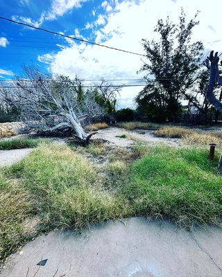 Tree removal 2023 - 🌱 Experience the quality of Mando's Lawn Care! 🏡✨ We excel in expert lawn mowing, precise weed trimming, skilled tree trimming, and efficient weed killer spraying, all dedicated to enhancing the allure of your outdoor space. Connect with us today to elevate your property's charm with our top-tier services. 🌟 Tree removal 2023 - 🌱 Experience the quality of Mando's Lawn Care! 🏡✨ We excel in expert lawn mowing, precise weed trimming, skilled tree trimming, and efficient weed killer spraying, all dedicated to enhancing the allure of your outdoor space. Connect with us today to elevate your property's charm with our top-tier services. 🌟