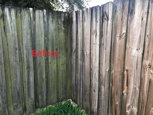 Fence Restoration - Are you considering buying a new privacy fence? Do you have family coming over for the holidays? Contact us to save money on a new fence as we can restore your privacy fence to "like new" conditions. We use a combination of chemicals and pressure washing to make your fence look new. See pictures on what can happen. Fence Restoration - Are you considering buying a new privacy fence? Do you have family coming over for the holidays? Contact us to save money on a new fence as we can restore your privacy fence to "like new" conditions. We use a combination of chemicals and pressure washing to make your fence look new. See pictures on what can happen.