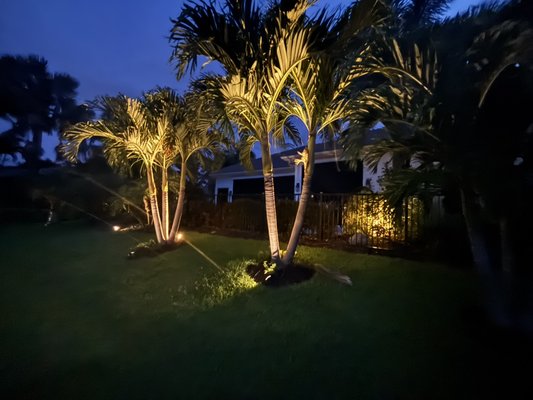 Outdoor landscape lighting with smart control - Outdoor landscape, lighting and smart home, lighting, control, outdoor landscape, lighting, and pathway lighting set up on timers. Outdoor lighting set on timers with smart home control. Outdoor lighting can be controlled with timers, smart home, voice control, as well as app control.  Outdoor landscape lighting with smart control - Outdoor landscape, lighting and smart home, lighting, control, outdoor landscape, lighting, and pathway lighting set up on timers. Outdoor lighting set on timers with smart home control. Outdoor lighting can be controlled with timers, smart home, voice control, as well as app control. 
