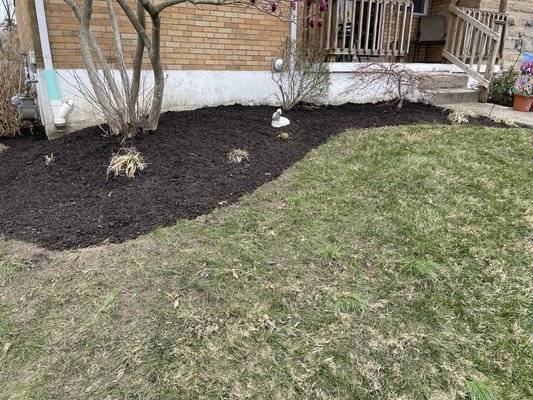 Complete Cleanup/ Mulching - This was a complete cleanup. Removed all weeds/ leaves and established defined lines on all flower beds. Trimmed existing plants and added fresh mulch. Complete Cleanup/ Mulching - This was a complete cleanup. Removed all weeds/ leaves and established defined lines on all flower beds. Trimmed existing plants and added fresh mulch.