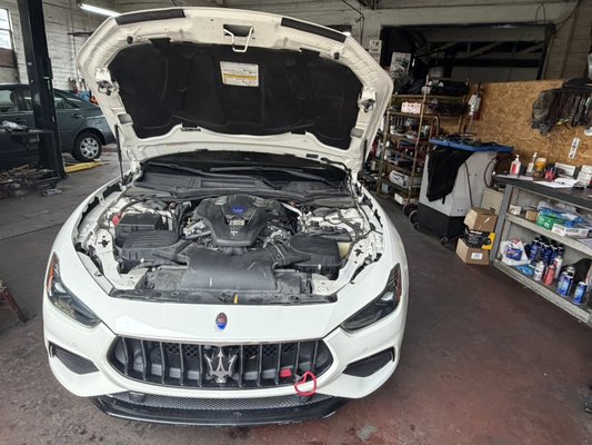 Maserati & Alfa Romeo Service and Repair - Our shop specializes in Maserati and Alfa Romeo maintenance, diagnostics, and repairs. We service a wide range of models, including the Ghibli, Levante, Quattroporte, Giulia, Stelvio, and Quadrifoglio. Services include routine maintenance, brake repairs, engine diagnostics, suspension repairs, cooling system repairs, and electrical troubleshooting. We are committed to providing dealership-quality workmanship, honest recommendations, and reliable service to keep these luxury performance vehicles operating at their best. Maserati & Alfa Romeo Service and Repair - Our shop specializes in Maserati and Alfa Romeo maintenance, diagnostics, and repairs. We service a wide range of models, including the Ghibli, Levante, Quattroporte, Giulia, Stelvio, and Quadrifoglio. Services include routine maintenance, brake repairs, engine diagnostics, suspension repairs, cooling system repairs, and electrical troubleshooting. We are committed to providing dealership-quality workmanship, honest recommendations, and reliable service to keep these luxury performance vehicles operating at their best.