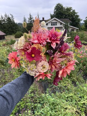 CSA Flower Subscriptions - Receive biweekly flower bouquets in the summer starting from July to September. CSA Flower Subscriptions - Receive biweekly flower bouquets in the summer starting from July to September.