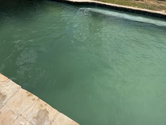 1-2 week Green Clean - Pool had turned within 2 weeks and need to have a 2 day treatment plan to get back to clear! Catch it before it turns into a swamp! 1-2 week Green Clean - Pool had turned within 2 weeks and need to have a 2 day treatment plan to get back to clear! Catch it before it turns into a swamp!