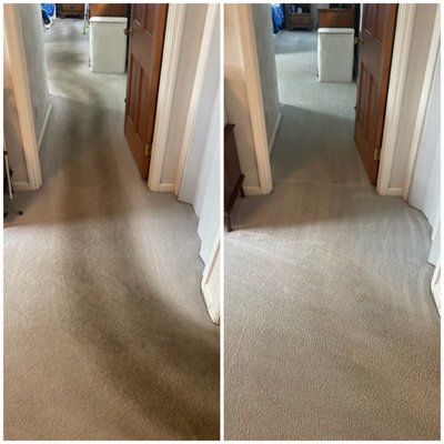 Befores and Afters - ✨ Transform Your Floors with Professional Cleaning! ✨

Tired of dull, stained carpets, rugs, or tile? See the difference with our expert cleaning services! Our before & after results speak for themselves—bringing your floors back to life with deep, professional cleaning.

We Specialize In:
✅ Carpet Cleaning – Say goodbye to dirt, stains, and odors!
✅ Oriental & Area Rug Cleaning – Gentle, deep cleaning for delicate rugs.
✅ Tile & Grout Cleaning – Restore shine and remove deep-set grime.
✅ Upholstery Cleaning – Refresh sofas, chairs, and more.

Why Choose Us?
✔ Powerful Deep Cleaning – Removes dirt, allergens, and bacteria.
✔ Safe & Eco-Friendly Products – Family & pet-friendly solutions.
✔ Fast Dry Times – Enjoy fresh, clean floors in no time.
✔ 100% Satisfaction Guarantee – We’re not happy until you are!

📸 Check out our stunning before & after transformations! See how we bring carpets, rugs, and tile back to life.

📅 Limited Appointments Available – Book Your Cleaning Today! Call or message us now! 📞✨