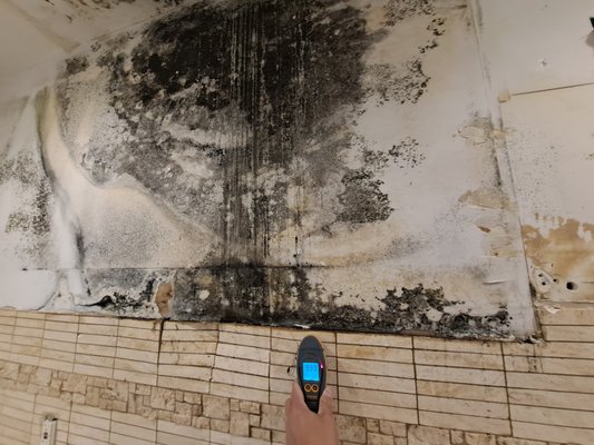 Mold Remediation - There was untreated water damage and we went in to dry out the water damage, and remediate (remove) the mold growth. Mold Remediation - There was untreated water damage and we went in to dry out the water damage, and remediate (remove) the mold growth.