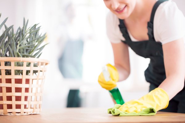 Move-In Cleaning Appointment - Are you moving and need to book a local cleaner to complete a move-in or move-out cleaning appointment? Give us a call at 585-902-9936 to go over all of your options Move-In Cleaning Appointment - Are you moving and need to book a local cleaner to complete a move-in or move-out cleaning appointment? Give us a call at 585-902-9936 to go over all of your options