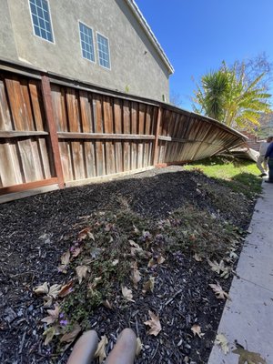 Fence replacement - new fence Fence replacement - new fence