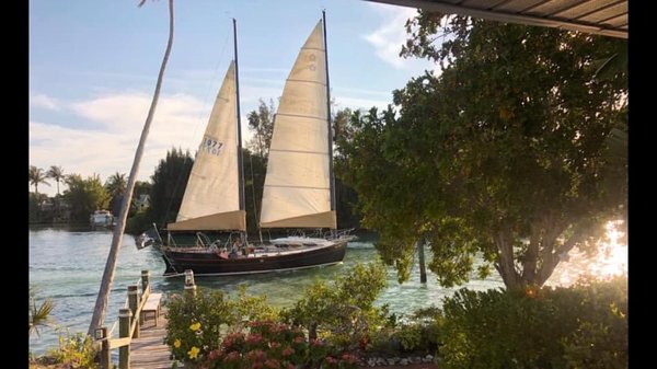Sailing charter. Blackduckcharters.com - Come set your soul free,Sail  the enchanting black duck￼!
From $75 per person. 941.929.6584
